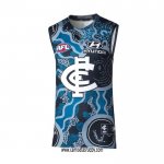 Camiseta Carlton Blues AFL 2022 Indigena