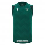 Tank Top Gales Rugby 2026 Entrenamiento Verde