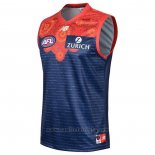 Camiseta Melbourne Demons AFL 2020-2021 Indigena